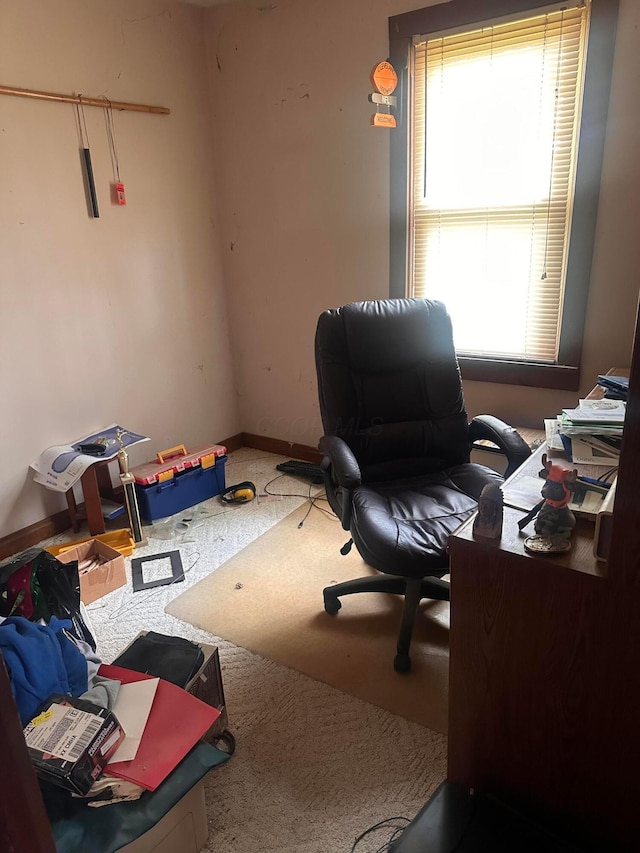 7365 Hayden Run Rd, Hilliard, OH 43026 - carpeted home office featuring healthy amount of natural light