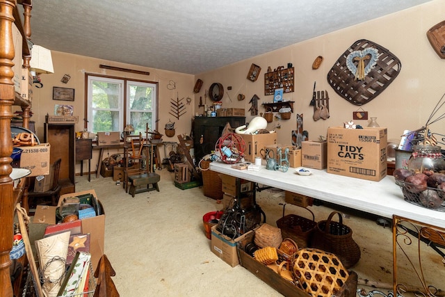 4019 Mink St SW, Pataskala, OH 43062 - misc room with a textured ceiling and carpet