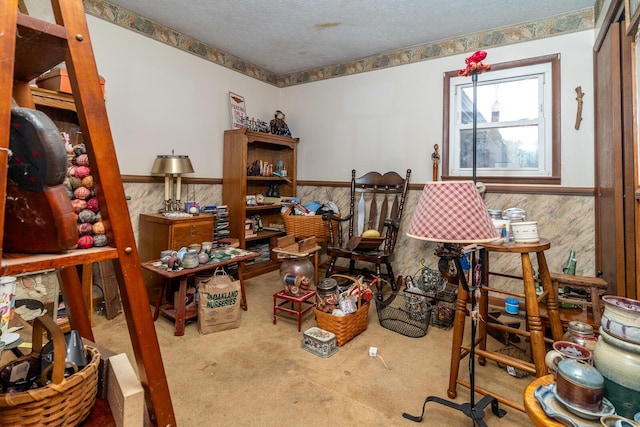 4019 Mink St SW, Pataskala, OH 43062 - misc room with wainscoting, carpet floors, and a textured ceiling