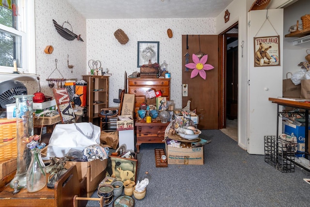 4019 Mink St SW, Pataskala, OH 43062 - misc room featuring carpet floors