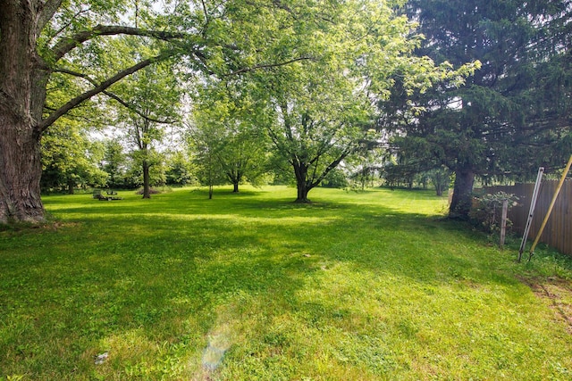 4019 Mink St SW, Pataskala, OH 43062 - view of yard