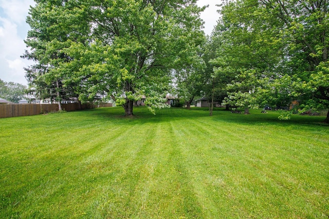 4019 Mink St SW, Pataskala, OH 43062 - view of yard