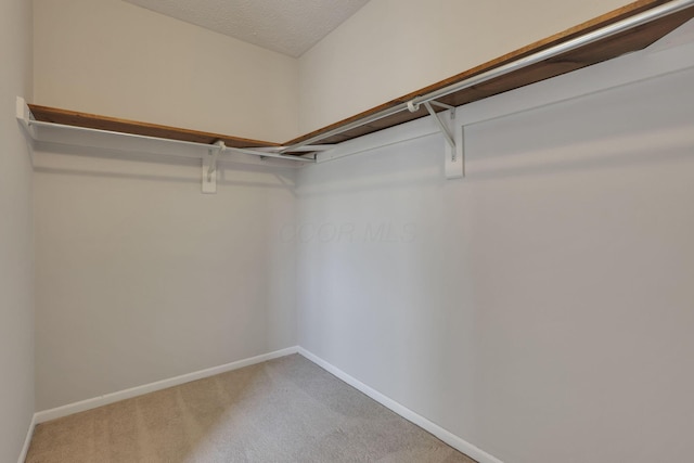 2356 Gavinley Way, Columbus, OH 43220 - walk in closet with light carpet