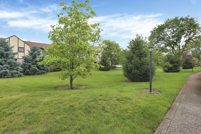 2356 Gavinley Way, Columbus, OH 43220 - view of grassy yard