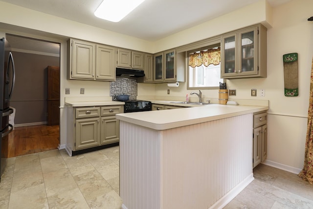 1108 Langland Dr, Columbus, OH 43220 - kitchen featuring a sink, under cabinet range hood, black electric range, a peninsula, and light countertops