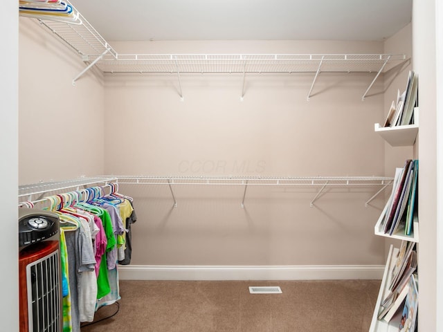 6165 Avocet Ct, Dublin, OH 43017 - walk in closet featuring carpet