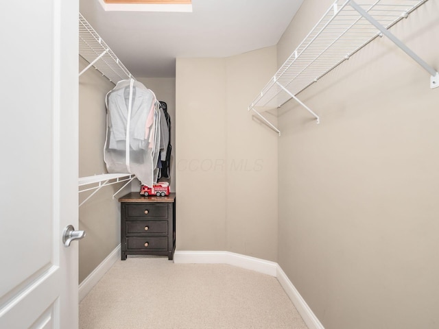 6165 Avocet Ct, Dublin, OH 43017 - spacious closet with carpet