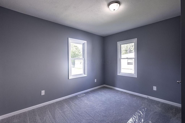 805 E Burgess St, Mount Vernon, OH 43050 - unfurnished room with plenty of natural light, dark colored carpet, and a textured ceiling