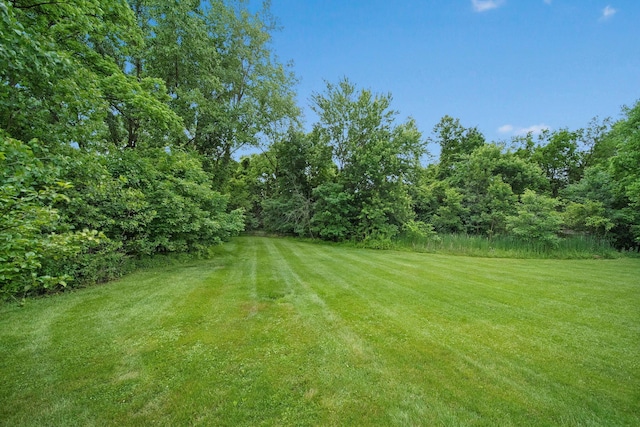 2946 Lewis Center Rd, Lewis Center, OH 43035 - view of green lawn