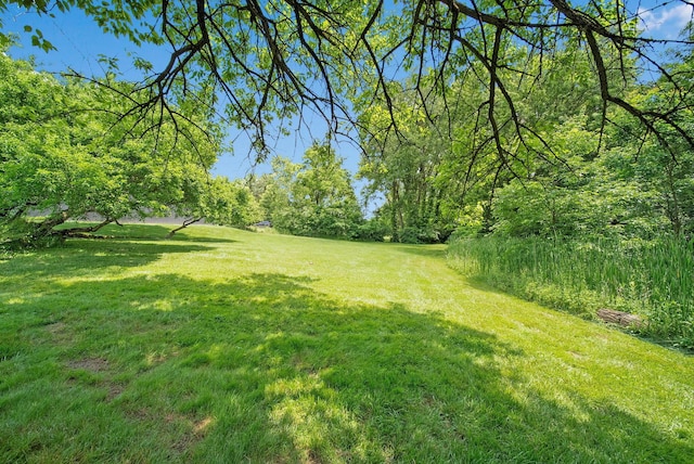 2946 Lewis Center Rd, Lewis Center, OH 43035 - view of grassy yard
