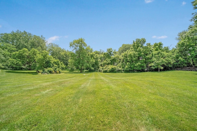 2946 Lewis Center Rd, Lewis Center, OH 43035 - view of grassy yard