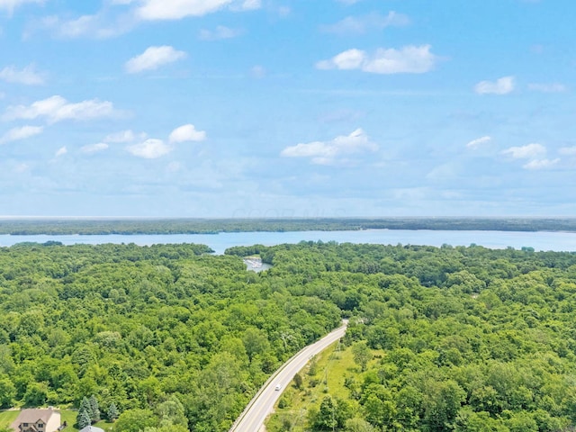 2946 Lewis Center Rd, Lewis Center, OH 43035 - aerial view of a heavily wooded area and a large body of water