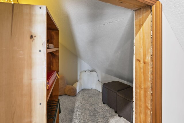 2946 Lewis Center Rd, Lewis Center, OH 43035 - walk in closet featuring carpet flooring