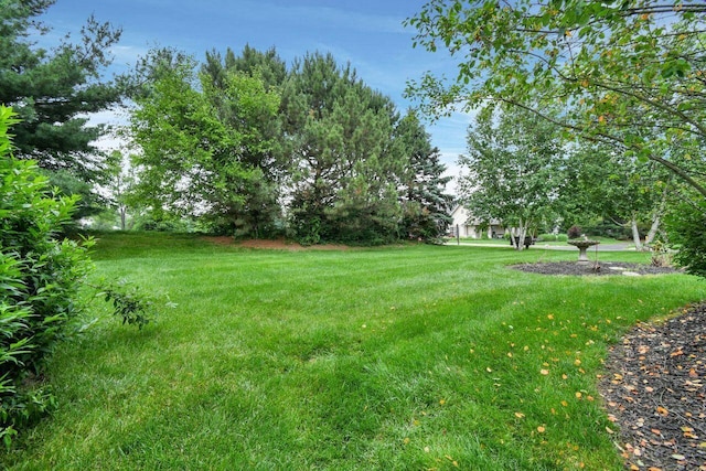 1366 Chapel Way, Heath, OH 43056 - view of grassy yard