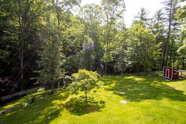18645 County Road 77, Glenmont, OH 44628 - photo 47
