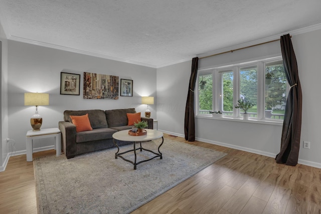 13680 Nantucket Ave NW, Pickerington, OH 43147 - living room featuring a textured ceiling, crown molding, wood finished floors, and baseboards