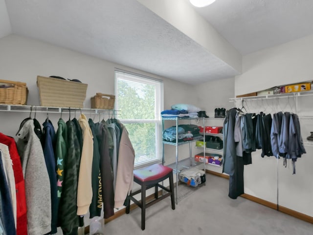 832 Lynnfield Dr, Westerville, OH 43081 - walk in closet with carpet flooring
