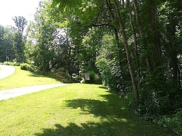 31280 Anglebrook Ln, Logan, OH 43138 - surrounding community featuring a yard and a forest view
