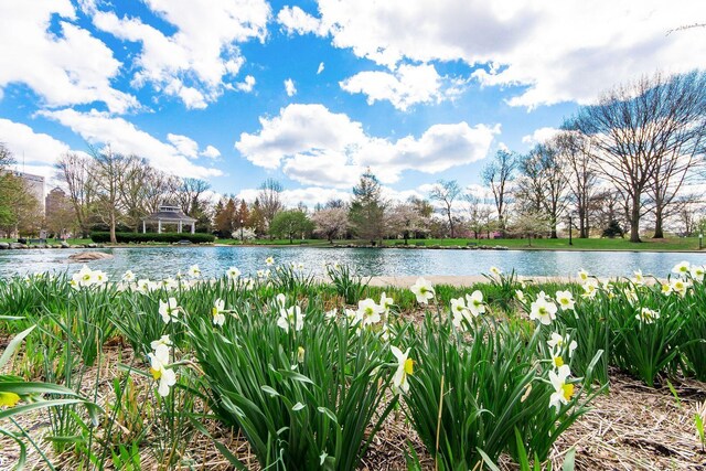 1098 Oregon Ave, Columbus, OH 43201 - water view