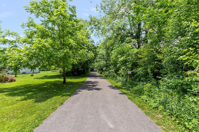 143 Walnut St, Sunbury, OH 43074 - photo 71