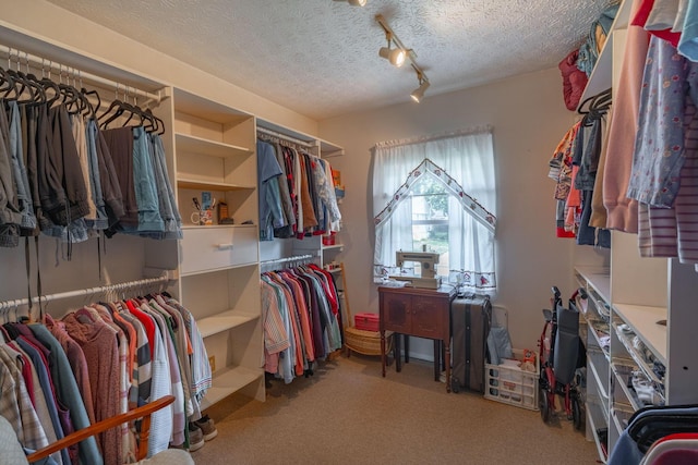 591 Knights Ave, Columbus, OH 43230 - spacious closet with carpet floors
