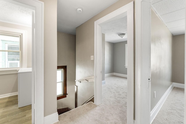 334 S Richardson Ave, Columbus, OH 43204 - hall with an upstairs landing, carpet flooring, and a textured ceiling