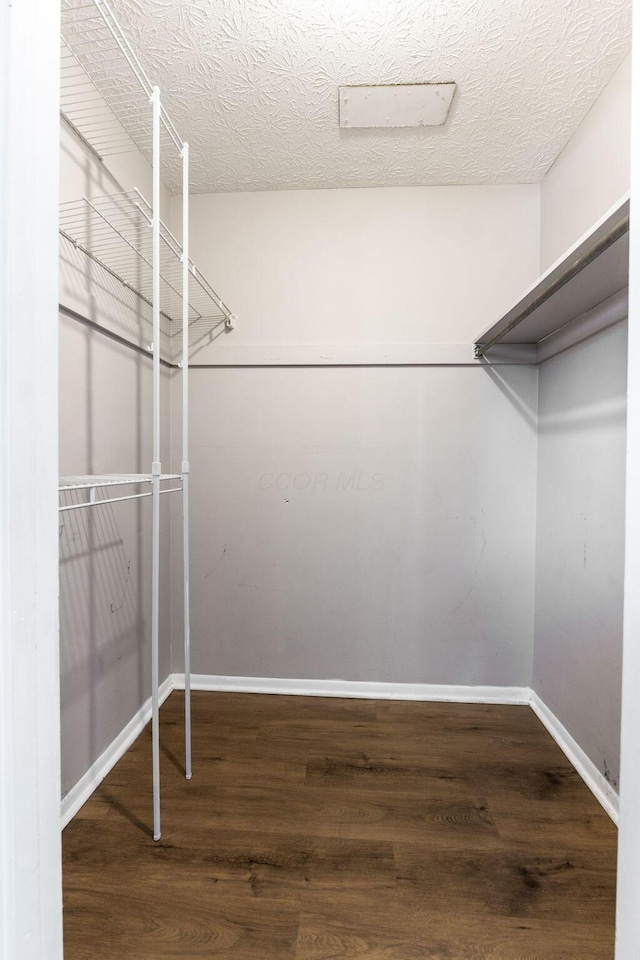 3204 Chateau Morse Ct, Columbus, OH 43231 - walk in closet with wood finished floors
