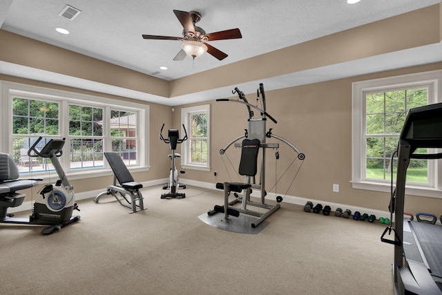 125 Fallen Ash Dr, Granville, OH 43023 - exercise area with ceiling fan, carpet flooring, and recessed lighting