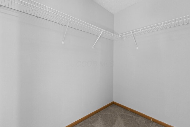 7684 Farm Hill Dr, Blacklick, OH 43004 - photo 30