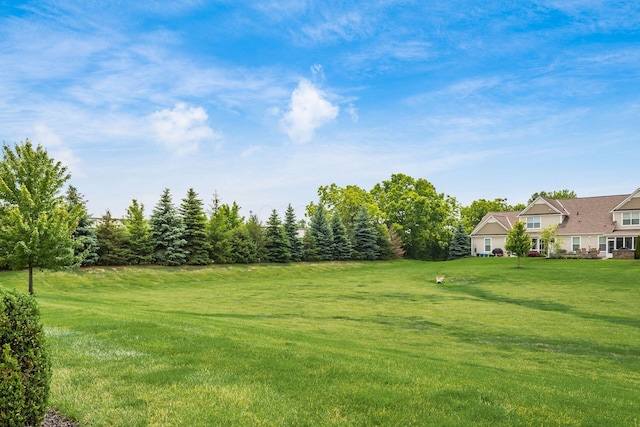 4609 Stoneworth Dr Unit 58, Hilliard, OH 43026 - view of green lawn