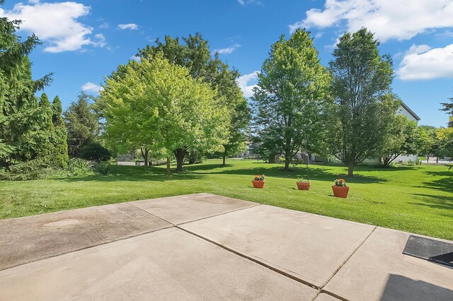 4860 Britton Farms Dr, Hilliard, OH 43026 - photo 48