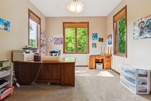 332 Waters Edge Dr, Hebron, OH 43025 - carpeted office space with baseboards