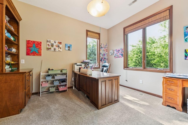 332 Waters Edge Dr, Hebron, OH 43025 - office with carpet floors