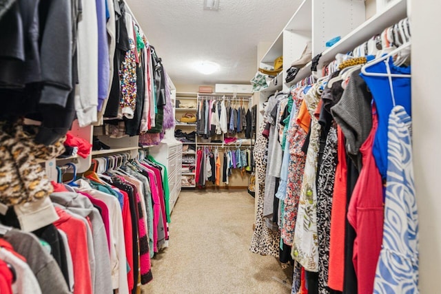 332 Waters Edge Dr, Hebron, OH 43025 - walk in closet with carpet