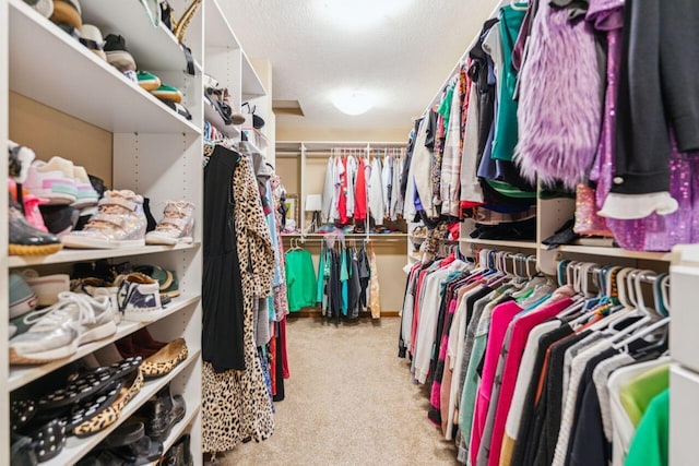 332 Waters Edge Dr, Hebron, OH 43025 - walk in closet featuring carpet