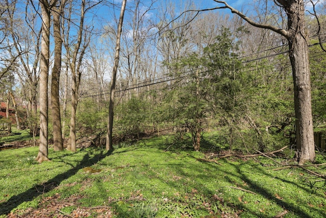 220 Hardy Way, Worthington, OH 43085 - view of green lawn