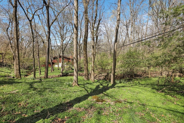 220 Hardy Way, Worthington, OH 43085 - view of grassy yard