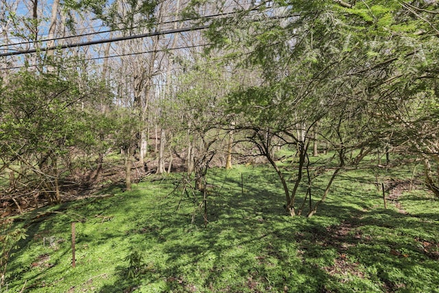 220 Hardy Way, Worthington, OH 43085 - view of local wilderness