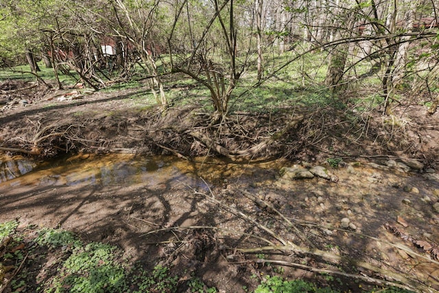 220 Hardy Way, Worthington, OH 43085 - view of nature