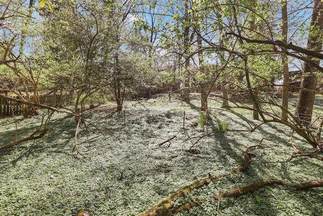 220 Hardy Way, Worthington, OH 43085 - view of nature