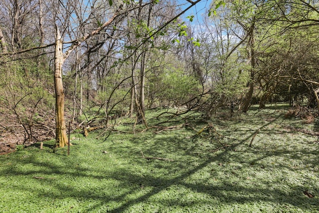 220 Hardy Way, Worthington, OH 43085 - view of undeveloped land