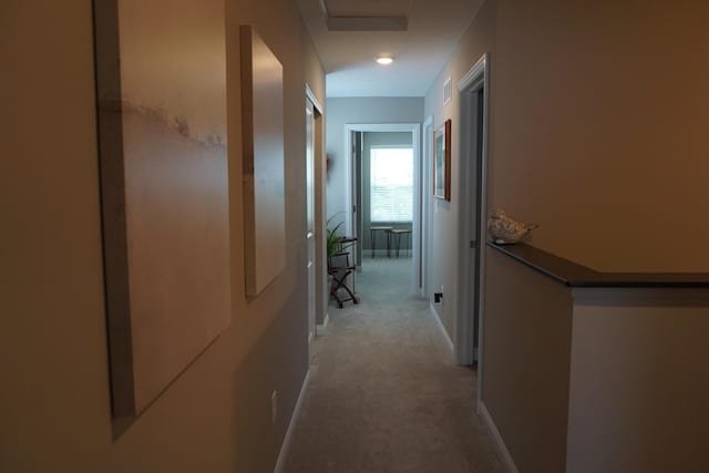 6423 Azile Way, Westerville, OH 43081 - photo 25
