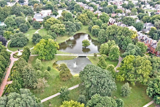 251 E Kossuth St Unit A, Columbus, OH 43206 - aerial view of property's location featuring a large body of water and a tree filled landscape