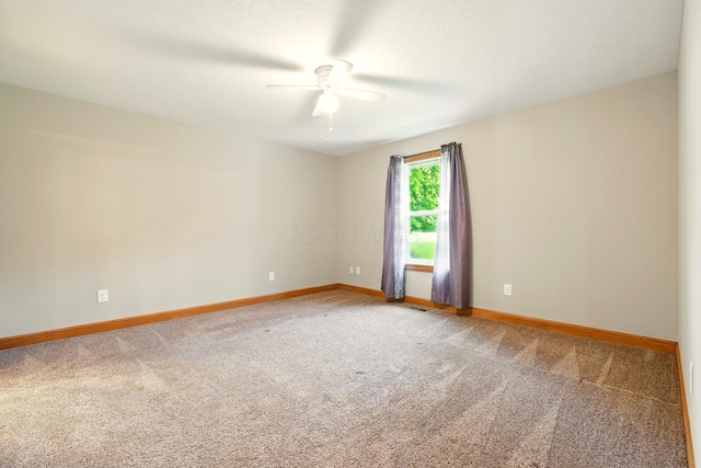7811 Moody Rd, Centerburg, OH 43011 - photo 15