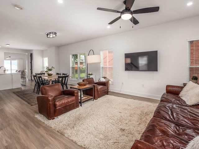 1210 Madison Ave, Columbus, OH 43205 - living room featuring wood finished floors, healthy amount of natural light, a ceiling fan, and recessed lighting