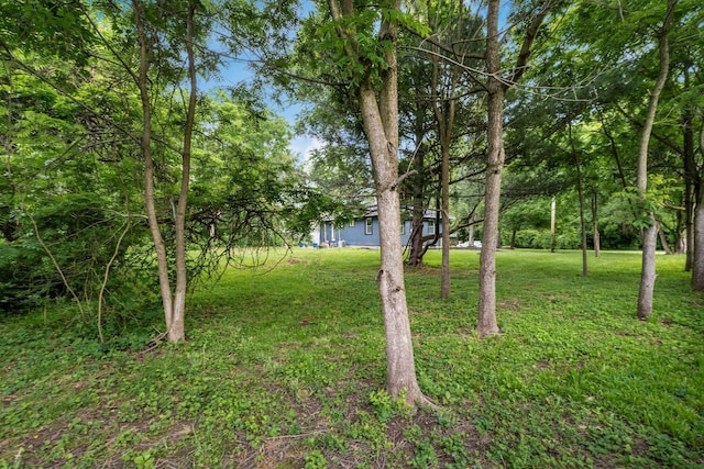 6007 Roselawn Ave, Columbus, OH 43232 - photo 18