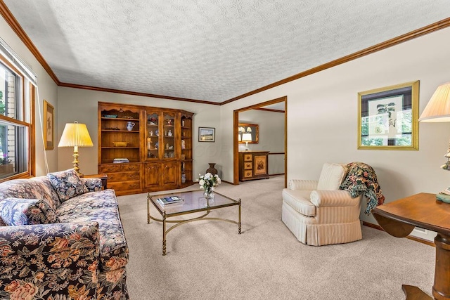 1212 Autumn Creek Cir, Westerville, OH 43081 - carpeted living room with ornamental molding and a textured ceiling