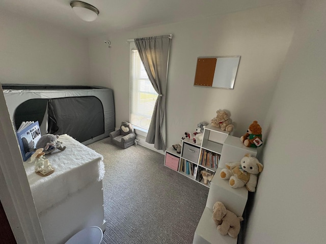 114 E N St, Mount Gilead, OH 43338 - view of carpeted bedroom