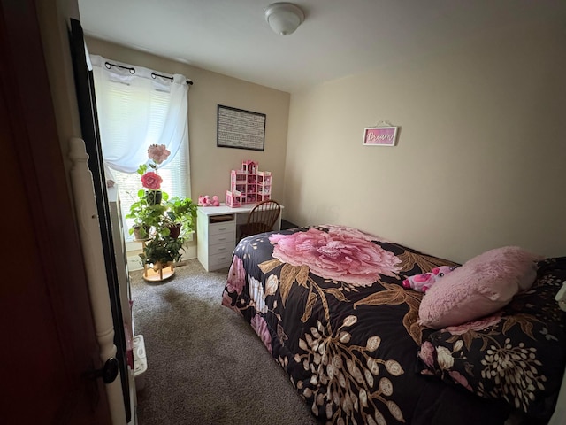 114 E N St, Mount Gilead, OH 43338 - view of carpeted bedroom