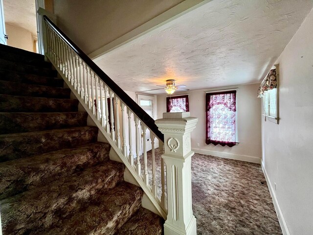 95 S Walnut St, Chillicothe, OH 45601 - photo 14